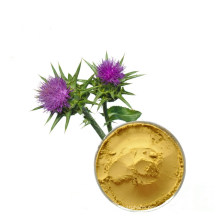 The factory supplies pure natural milk thistle extract milk thistle extract powder